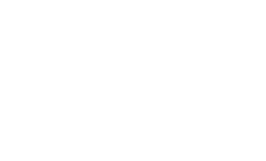 the vein specialist